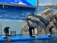 -福州罗源湾海洋世界旅游区