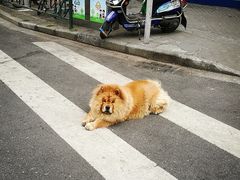-云南路美食街