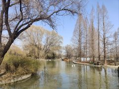 -洛阳市隋唐城遗址植物园