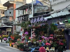 -溪岸路花鸟市场
