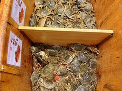 -初色海鲜自助(万丰路店)