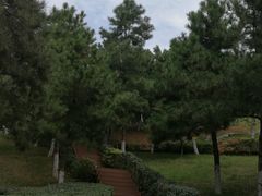 -鹦鹉寺公园