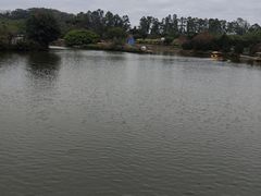 -南沙蒲洲花园