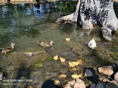 -西霞口神雕山野生动物世界