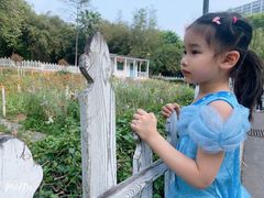 -晓港公园