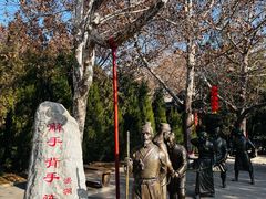 -大槐树寻根祭祖园