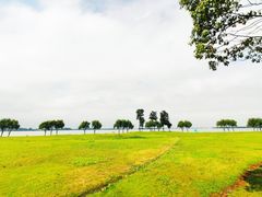 -漕湖湿地公园