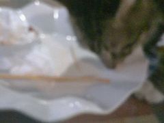 -赢吧Bliss音乐酒吧