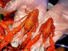 -虾乐园龙虾·夜宵(松江店)