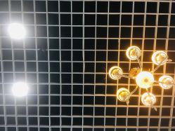 -蕾特恩专业祛痘国际连锁