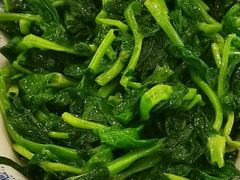 橄榄油炒豆苗-上海老饭店(北京分店)