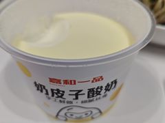 手工鲜做奶皮子酸奶-嘉和一品(中关村银网中心)