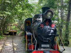 -五营红松林海景区