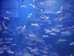 -鄂尔多斯野生动物园