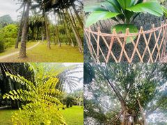 -中国科学院西双版纳热带植物园