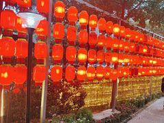 -二荆条·蜀鲜汇城市森林火锅