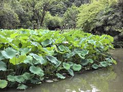 -成都杜甫草堂博物馆