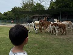 -宁波野生动物园