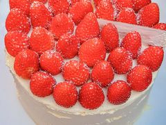 -沁园(南坪上海城店)