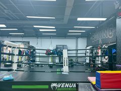 -拳力汇散打搏击泰拳俱乐部(绿地缤纷城店)