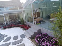 -蘑统田下·野生菌火锅