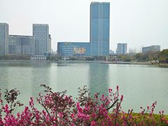 -聚龙湖公园