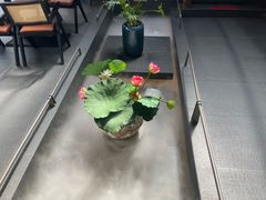 -单家老院·院子里的青岛菜(沙子口店)
