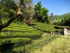 -敬亭山风景名胜区
