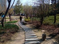 小径-苏州河梦清园环保主题公园