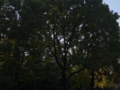-郑州植物园