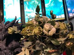 -Dark·大玩家馆沉浸剧情密室(黄埔店)