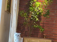 -寸屋拉面(凯德晶萃店)