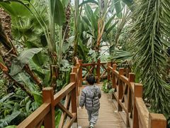 -石家庄市植物园
