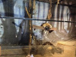 -酷嗒动物文化乐园(cutezoo西溪乐天城店)