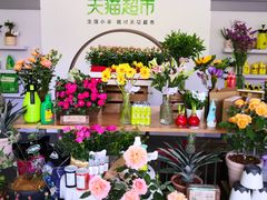 -杭州植物园