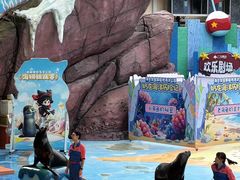 -海合安成都极地海洋公园