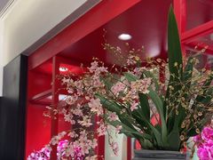 -奇芳阁·百年清真南京菜(夫子庙店)