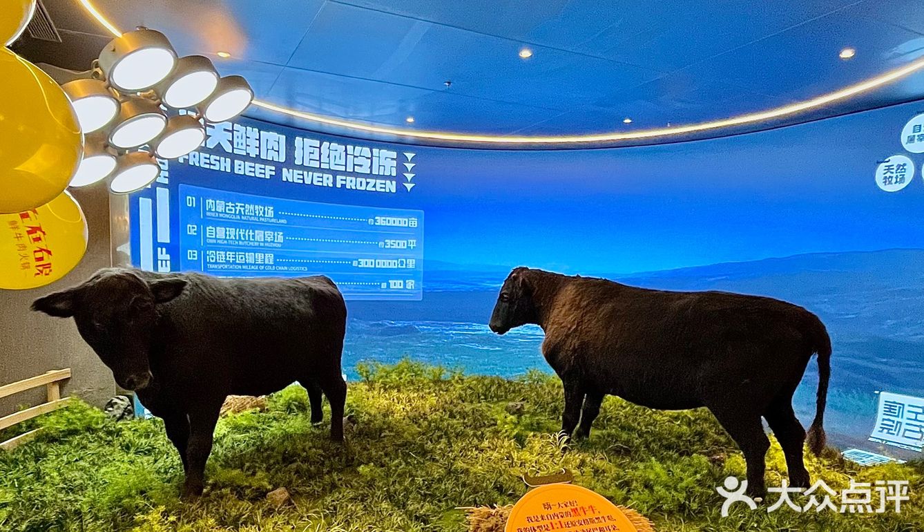 上海plmm谁还没吃过🍜牛肉沙茶拌面巨巨巨香！