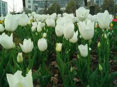 -公益图书馆(江南大学店)