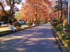 -四川大学(华西校区)