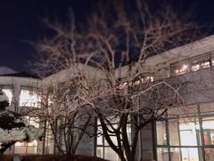 -上海虹桥迎宾馆