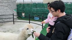 -可可天空农场(东部新城银泰店)
