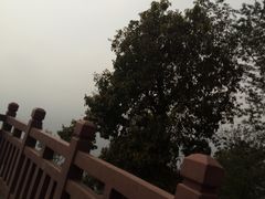 -哈尼梯田美食土菜馆