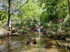 -成都市活水公园