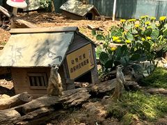 -无锡动物园·太湖欢乐园