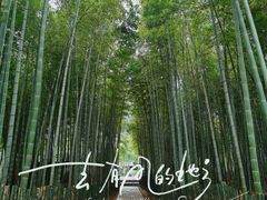 -树山生态村