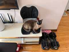 -双公羊·馕坑烤全羊(奥体店)