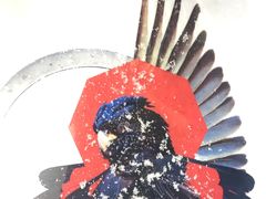 -哈尔滨热雪奇迹