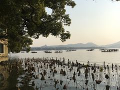 -湖畔居茶楼(湖滨店)