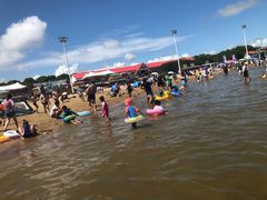 -碧海金沙